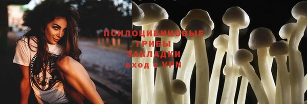 прущий лед Аркадак