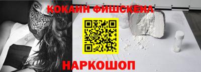 стаф Дубна