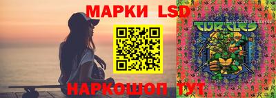 МДПВ Донской