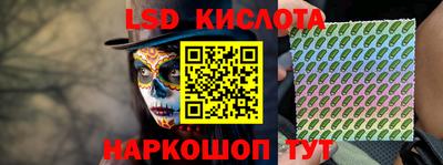 стаф Дубна