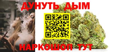 стаф Дубна