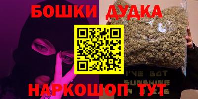 стаф Дубна