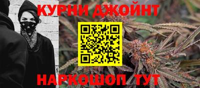 стаф Дубна
