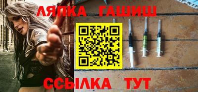 стаф Дубна