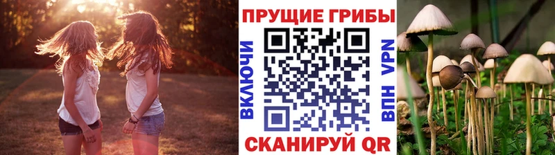 Галлюциногенные грибы Cubensis  Нарткала 
